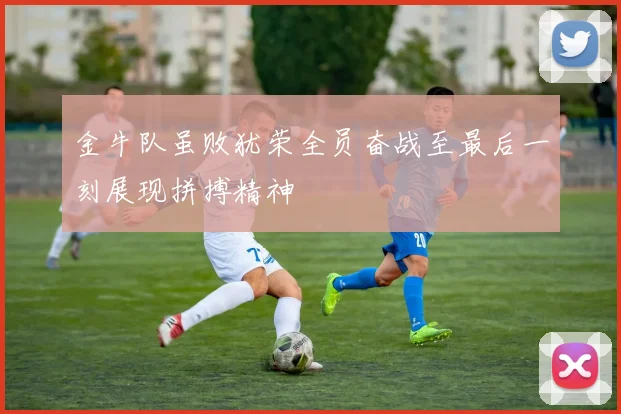 金牛队虽败犹荣全员奋战至最后一刻展现拼搏精神