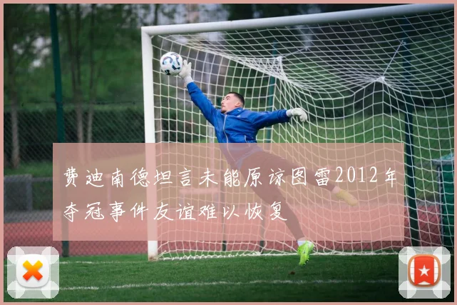 费迪南德坦言未能原谅图雷2012年夺冠事件友谊难以恢复