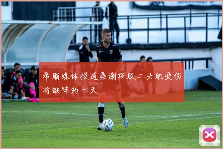 希腊媒体报道桑谢斯股二头肌受伤将缺阵约十天